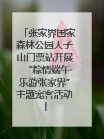 张家界国家森林公园天子山门票站开展“粽情端午·乐游张家界”主题宠客活动