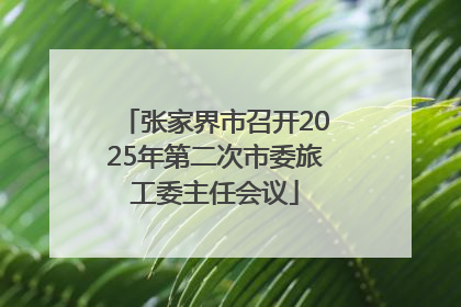 张家界市召开2025年第二次市委旅工委主任会议