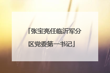 张宝亮任临沂军分区党委第一书记