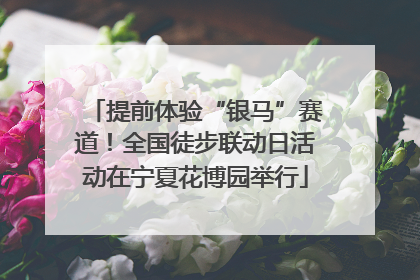 提前体验“银马”赛道！全国徒步联动日活动在宁夏花博园举行