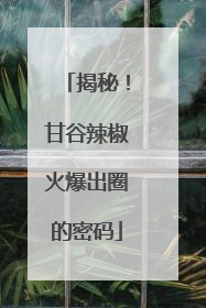 揭秘！甘谷辣椒火爆出圈的密码