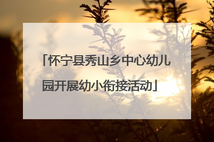 怀宁县秀山乡中心幼儿园开展幼小衔接活动