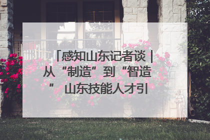感知山东记者谈｜从“制造”到“智造” 山东技能人才引领产业升级
