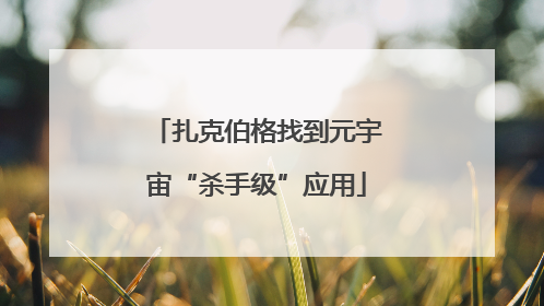 扎克伯格找到元宇宙“杀手级”应用
