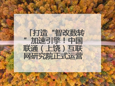打造“智改数转”加速引擎！中国联通（上饶）互联网研究院正式运营（图）