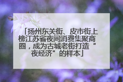 扬州东关街、皮市街上榜江苏省夜间消费集聚商圈，成为古城老街打造“夜经济”的样本
