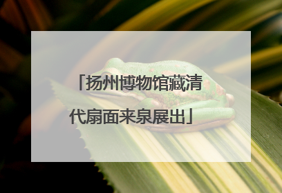 扬州博物馆藏清代扇面来泉展出