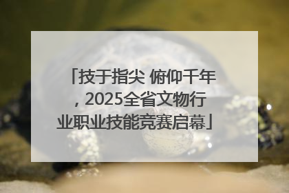 技于指尖 俯仰千年，2025全省文物行业职业技能竞赛启幕