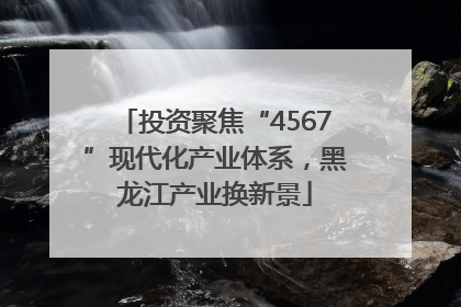 投资聚焦“4567”现代化产业体系，黑龙江产业换新景