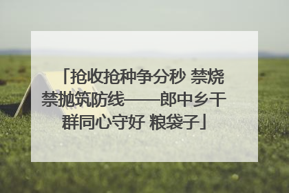 抢收抢种争分秒 禁烧禁抛筑防线——郎中乡干群同心守好 粮袋子