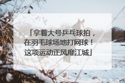 拿着大号乒乓球拍，在羽毛球场地打网球！这项运动正风靡江城