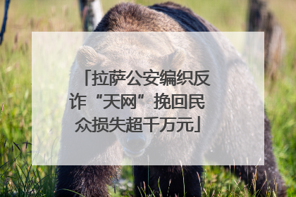拉萨公安编织反诈“天网”挽回民众损失超千万元