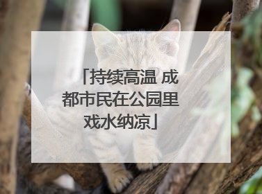 持续高温 成都市民在公园里戏水纳凉