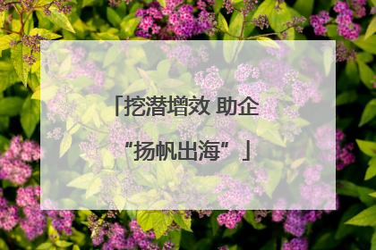 挖潜增效 助企“扬帆出海”