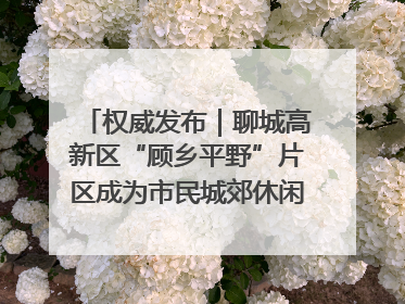 权威发布｜聊城高新区“顾乡平野”片区成为市民城郊休闲全新目的地
