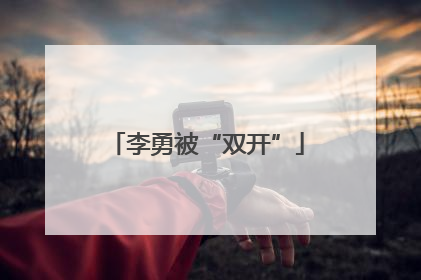 李勇被“双开”
