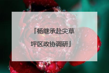 杨继承赴尖草坪区政协调研
