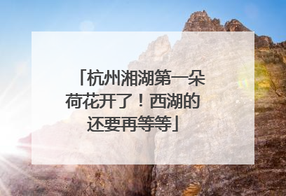 杭州湘湖第一朵荷花开了！西湖的还要再等等