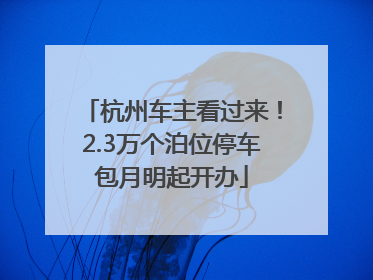 杭州车主看过来！2.3万个泊位停车包月明起开办