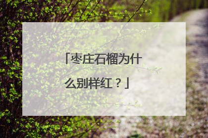 枣庄石榴为什么别样红？