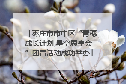 枣庄市市中区“青穗成长计划 星空思享会”团青活动成功举办