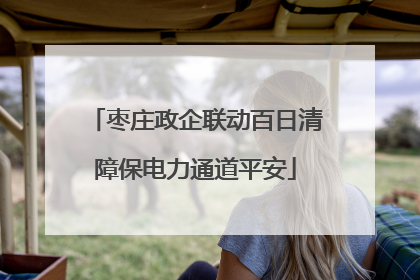 枣庄政企联动百日清障保电力通道平安