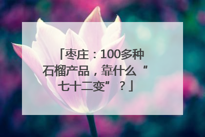 枣庄：100多种石榴产品，靠什么“七十二变”？