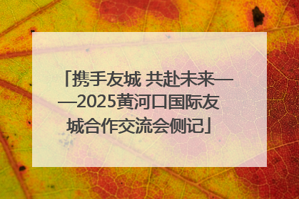 携手友城 共赴未来——2025黄河口国际友城合作交流会侧记