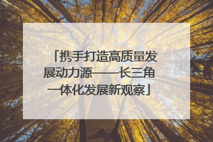 携手打造高质量发展动力源——长三角一体化发展新观察