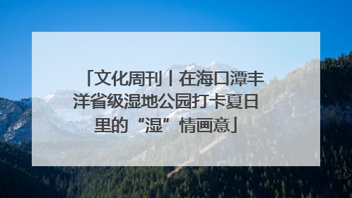 文化周刊丨在海口潭丰洋省级湿地公园打卡夏日里的“湿”情画意