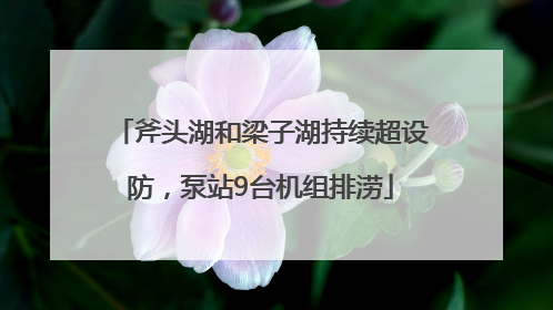 斧头湖和梁子湖持续超设防，泵站9台机组排涝