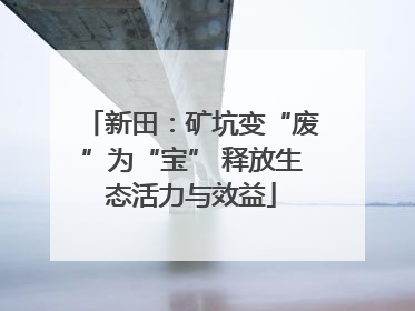 新田：矿坑变“废”为“宝” 释放生态活力与效益