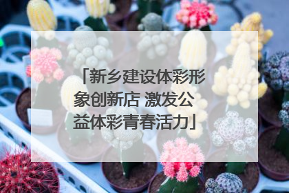 新乡建设体彩形象创新店 激发公益体彩青春活力