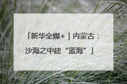 新华全媒+｜内蒙古：沙海之中建“蓝海”