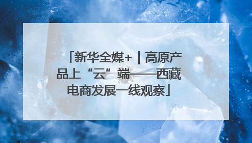 新华全媒+｜高原产品上“云”端——西藏电商发展一线观察