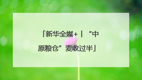 新华全媒+丨“中原粮仓”麦收过半