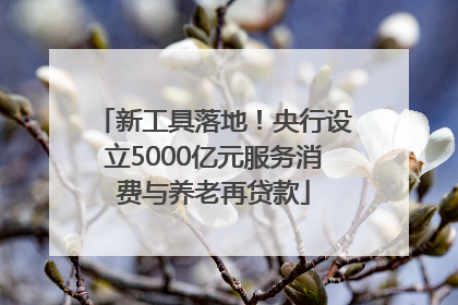 新工具落地！央行设立5000亿元服务消费与养老再贷款