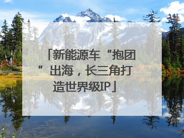 新能源车“抱团”出海，长三角打造世界级IP