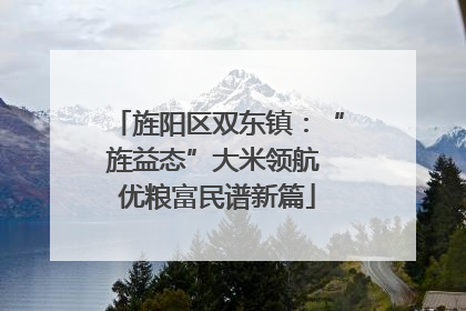 旌阳区双东镇：“旌益态”大米领航 优粮富民谱新篇