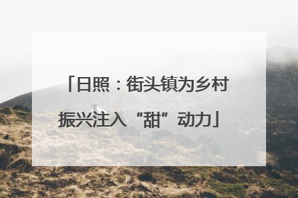 日照：街头镇为乡村振兴注入“甜”动力