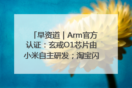 早资道｜Arm官方认证：玄戒O1芯片由小米自主研发；淘宝闪购联合饿了么日订单超4000万