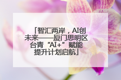 智汇两岸，AI创未来——厦门思明区台青“AI+”赋能提升计划启航