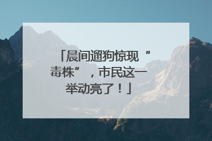 晨间遛狗惊现“毒株”，市民这一举动亮了！
