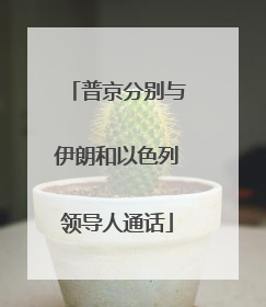 普京分别与伊朗和以色列领导人通话