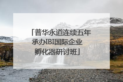 普华永道连续五年承办IBI国际企业孵化器研讨班