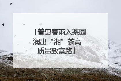 普惠春雨入茶园 润出“湘”茶高质量致富路