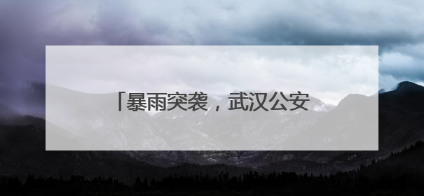 暴雨突袭，武汉公安顶风冒雨守护平安