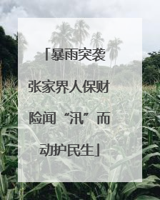 暴雨突袭 张家界人保财险闻“汛”而动护民生