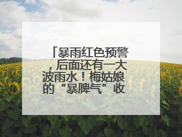 暴雨红色预警，后面还有一大波雨水！梅姑娘的“暴脾气”收敛要再等等