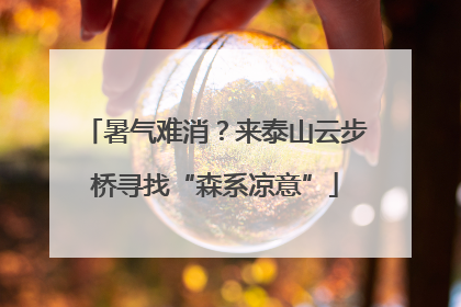 暑气难消？来泰山云步桥寻找“森系凉意”